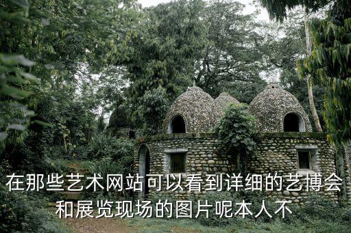 在那些藝術網站可以看到詳細的藝博會和展覽現場的圖片呢本人不