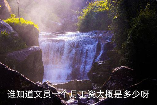 誰知道文員一個月工資大概是多少呀