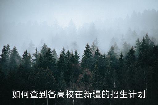 新疆招生網，新疆高考網上預報名在哪一個網