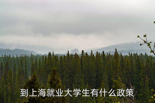 上海就業，到上海就業大學生有什么政策