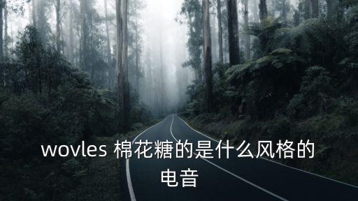 wovles 棉花糖的是什么風格的電音