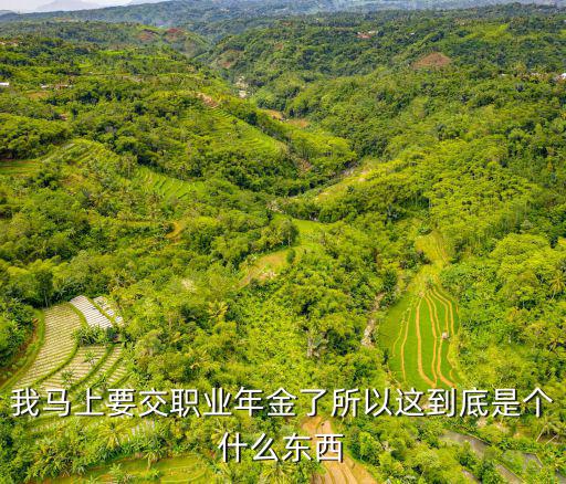什么是職業年金，我馬上要交職業年金了所以這到底是個什么東西