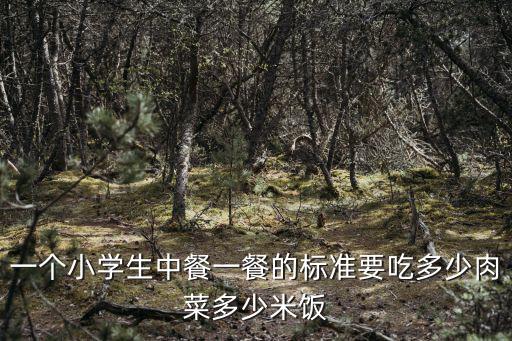 一個(gè)小學(xué)生中餐一餐的標(biāo)準(zhǔn)要吃多少肉菜多少米飯