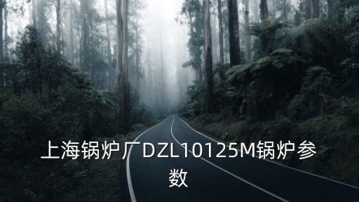 上海鍋爐廠，上海鍋爐廠DZL10125M鍋爐參數(shù)