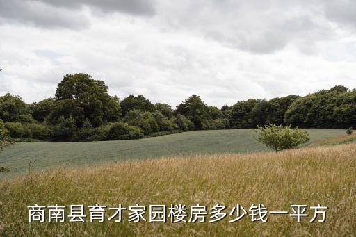 商南縣育才家園樓房多少錢(qián)一平方