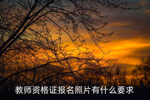 教師資格證報名照片有什么要求