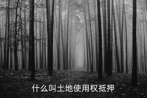 土地抵押，什么叫土地使用權抵押