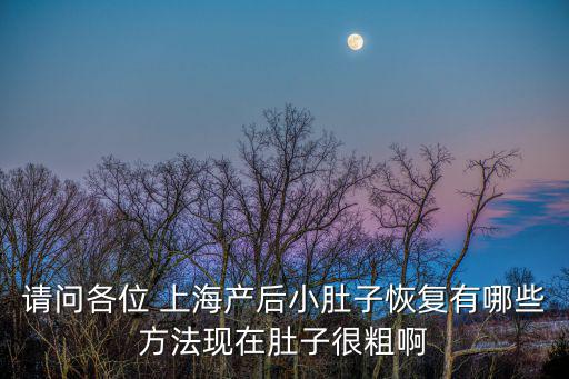請問各位 上海產后小肚子恢復有哪些方法現在肚子很粗啊