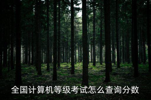 計算機成績查詢入口，全國計算機等級考試成績查詢網