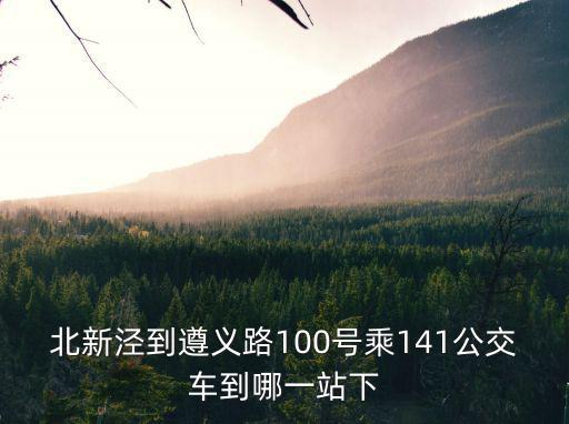 北新涇到遵義路100號乘141公交車到哪一站下