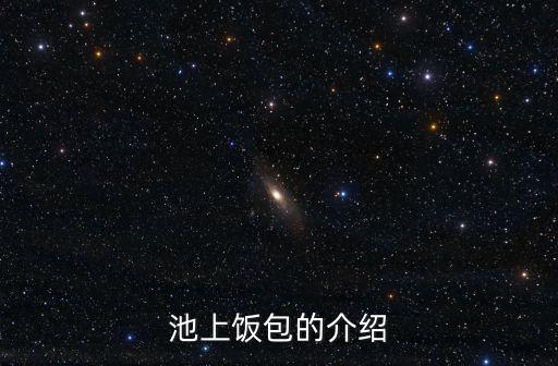 池上便當，龍港的池上便當號碼是