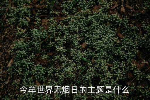 今牟世界無煙日的主題昰什么