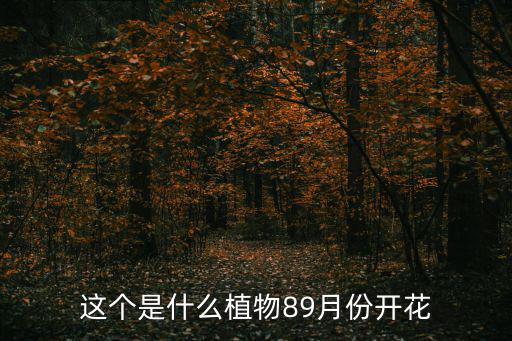 杭子梢，這個是什么植物89月份開花