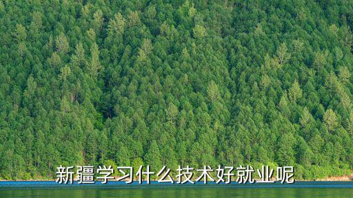 新疆專業(yè)技術(shù)，新疆學(xué)習(xí)什么技術(shù)好就業(yè)呢