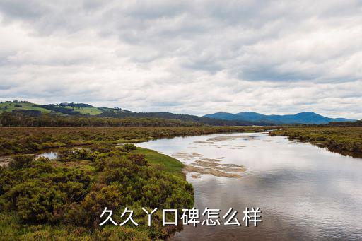 久久丫口碑怎么樣