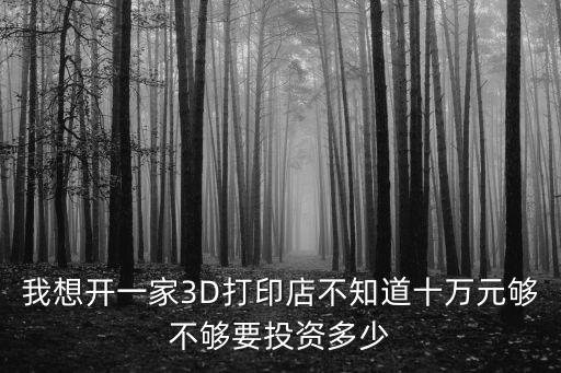 我想開一家3D打印店不知道十萬元夠不夠要投資多少
