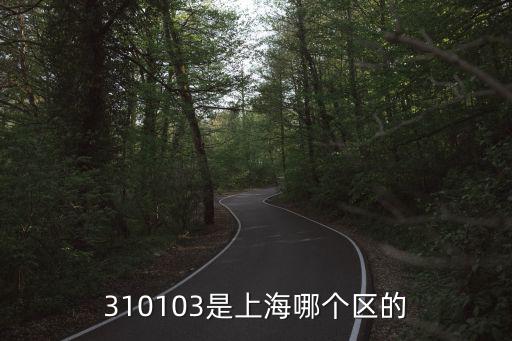 310103是上海哪個區的