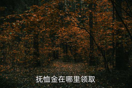 撫恤金怎么領取，撫恤金從哪里領