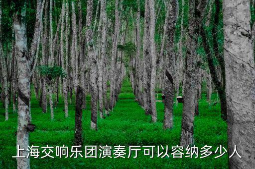 上海交響樂團音樂廳，地鐵16號線怎么去捷豹上海交響樂團音樂廳