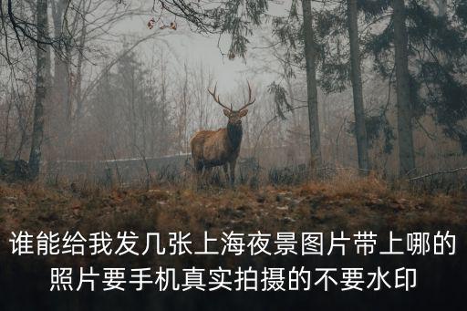 誰能給我發幾張上海夜景圖片帶上哪的照片要手機真實拍攝的不要水印