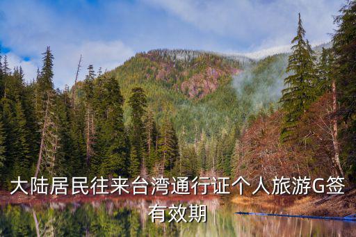 大陸居民往來臺灣通行證個人旅游G簽有效期
