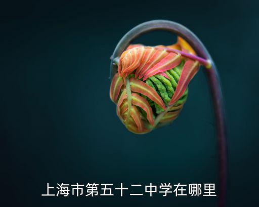 上海市第五十二中學在哪里