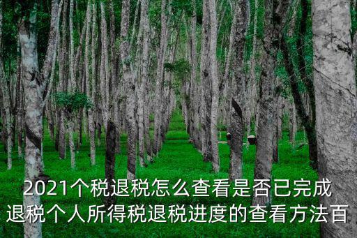 2021個(gè)稅退稅怎么查看是否已完成退稅個(gè)人所得稅退稅進(jìn)度的查看方法百
