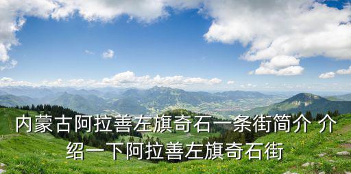 內蒙古阿拉善左旗奇石一條街簡介 介紹一下阿拉善左旗奇石街