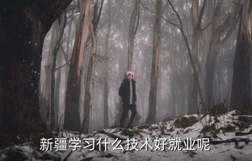 新疆學(xué)習(xí)什么技術(shù)好就業(yè)呢
