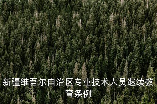 新疆維吾爾自治區(qū)專業(yè)技術(shù)人員繼續(xù)教育條例