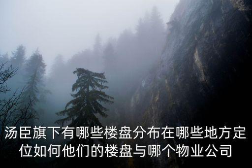 湯臣怡園，滬c拍照能到浦東湯臣嗎