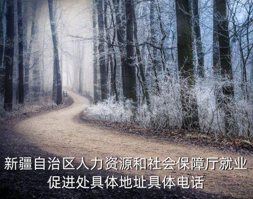 新疆自治區(qū)人力資源和社會(huì)保障廳就業(yè)促進(jìn)處具體地址具體電話