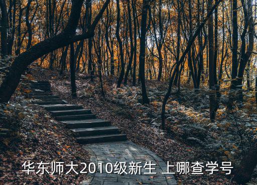 華東師大2010級新生 上哪查學(xué)號
