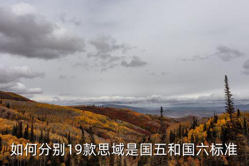 如何分別19款思域是國五和國六標準