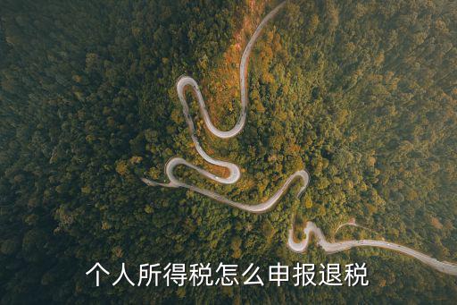 個人所得稅怎么申報退稅