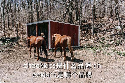 cheekkiss是什么品牌 cheekkiss是哪個品牌