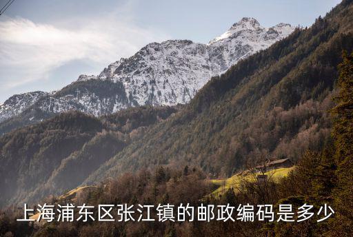 上海浦東區張江鎮的郵政編碼是多少