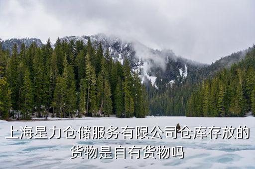 上海星力倉儲服務有限公司倉庫存放的貨物是自有貨物嗎
