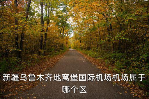 新疆烏魯木齊地窩堡國際機場機場屬于哪個區
