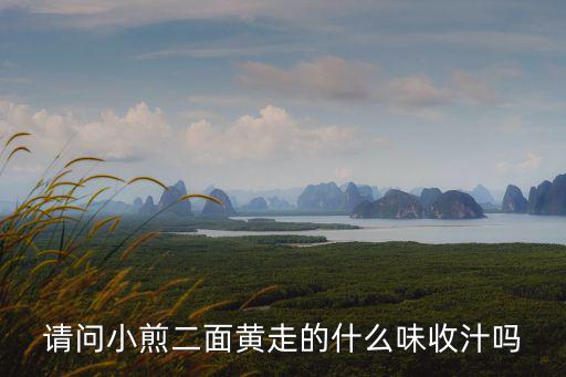 請(qǐng)問小煎二面黃走的什么味收汁嗎