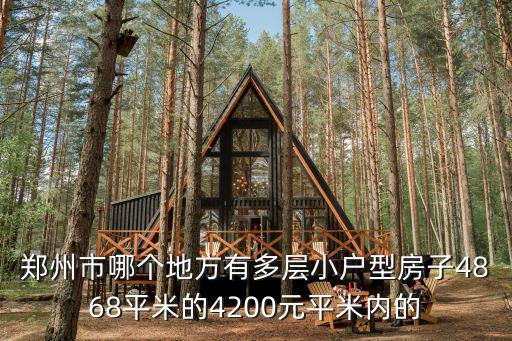 鄭州市哪個地方有多層小戶型房子4868平米的4200元平米內的