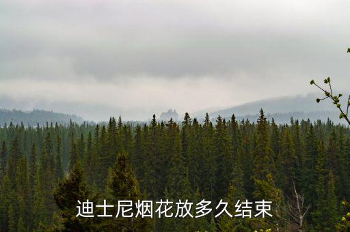迪士尼煙花放多久結束