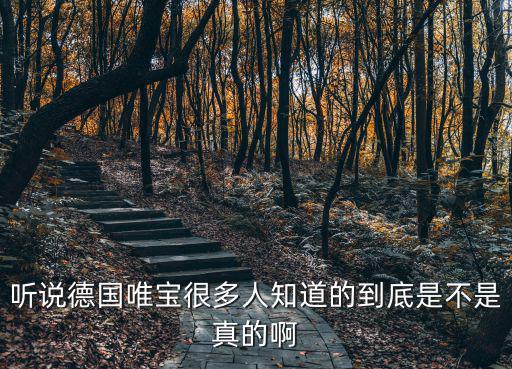 聽說德國唯寶很多人知道的到底是不是真的啊