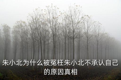 朱小北為什么被冤枉朱小北不承認(rèn)自己的原因真相