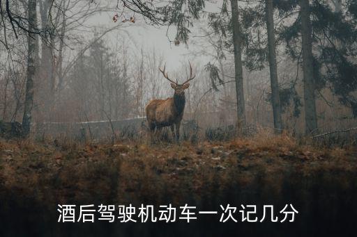 酒后駕駛機動車一次記幾分