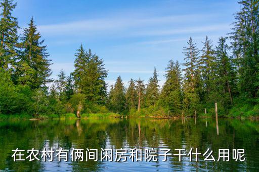 在農村有倆間閑房和院子干什么用呢