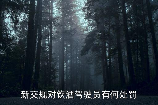 新交規(guī)對飲酒駕駛員有何處罰