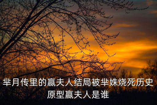 嬴夫人，嬴夫人在魏國是什么身份