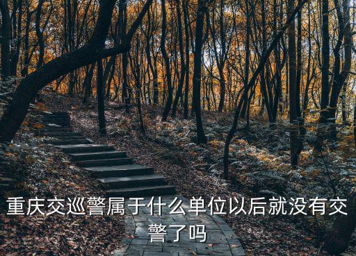 交巡警，怎么做好一名合格的交巡警