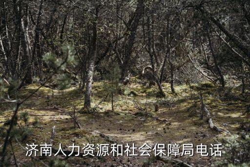 濟南人力資源和社會保障局電話